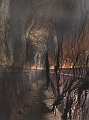 Hermannszeche (14)